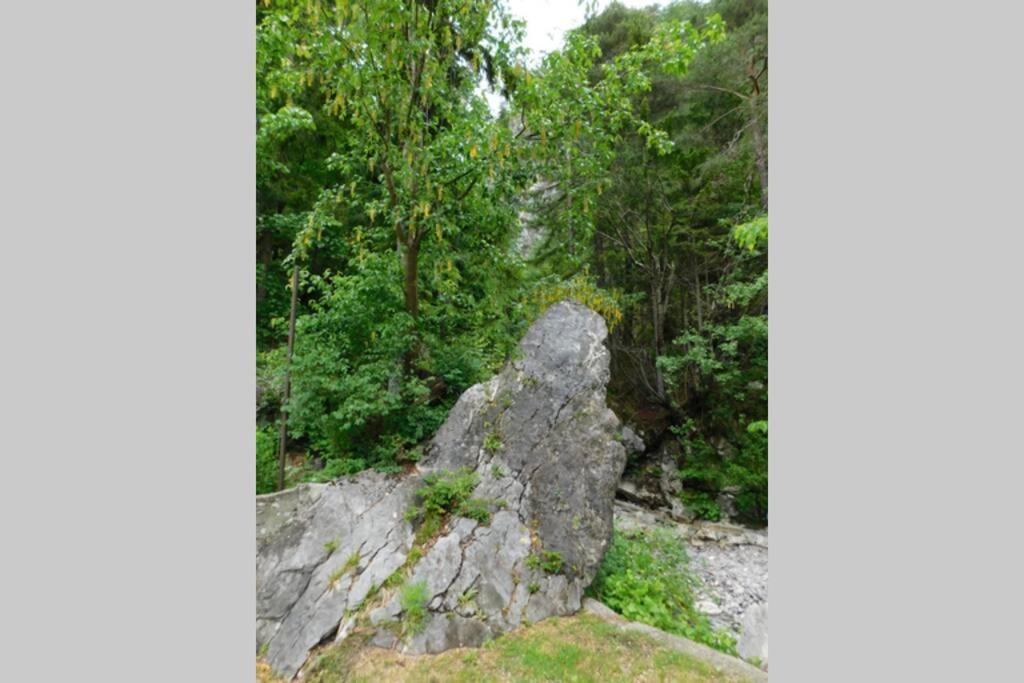 Vila Rezidenca Mitja Kranjska Gora Exteriér fotografie
